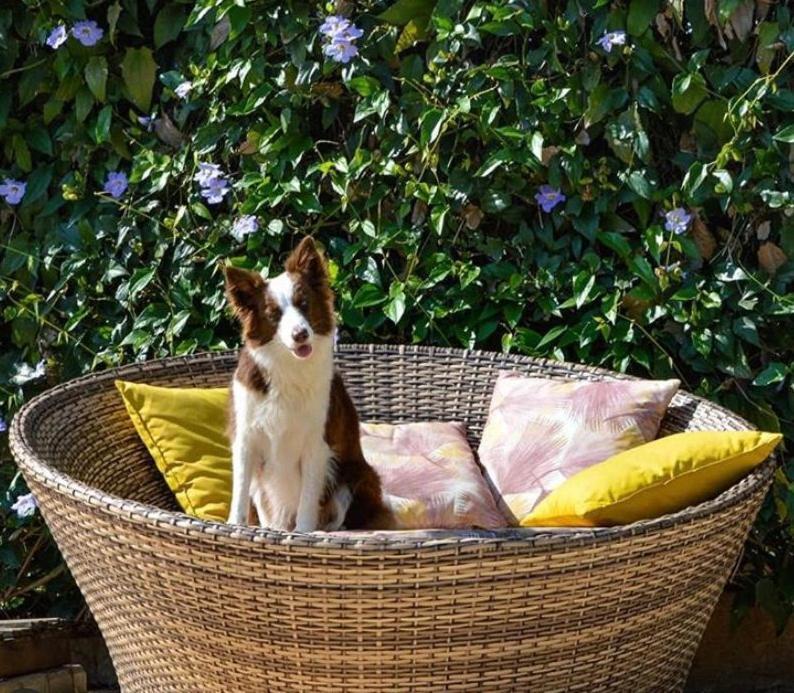 Villa Aye Pousada Boutique Petfriendly Сокорру Екстер'єр фото