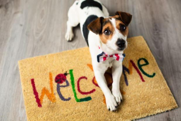 Villa Aye Pousada Boutique Petfriendly Сокорру Екстер'єр фото